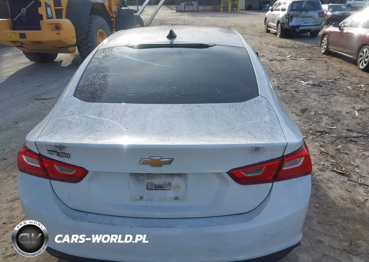 2019 Chevrolet Malibu 1Ls VIN:1G1ZB5ST2KF157169 - 16