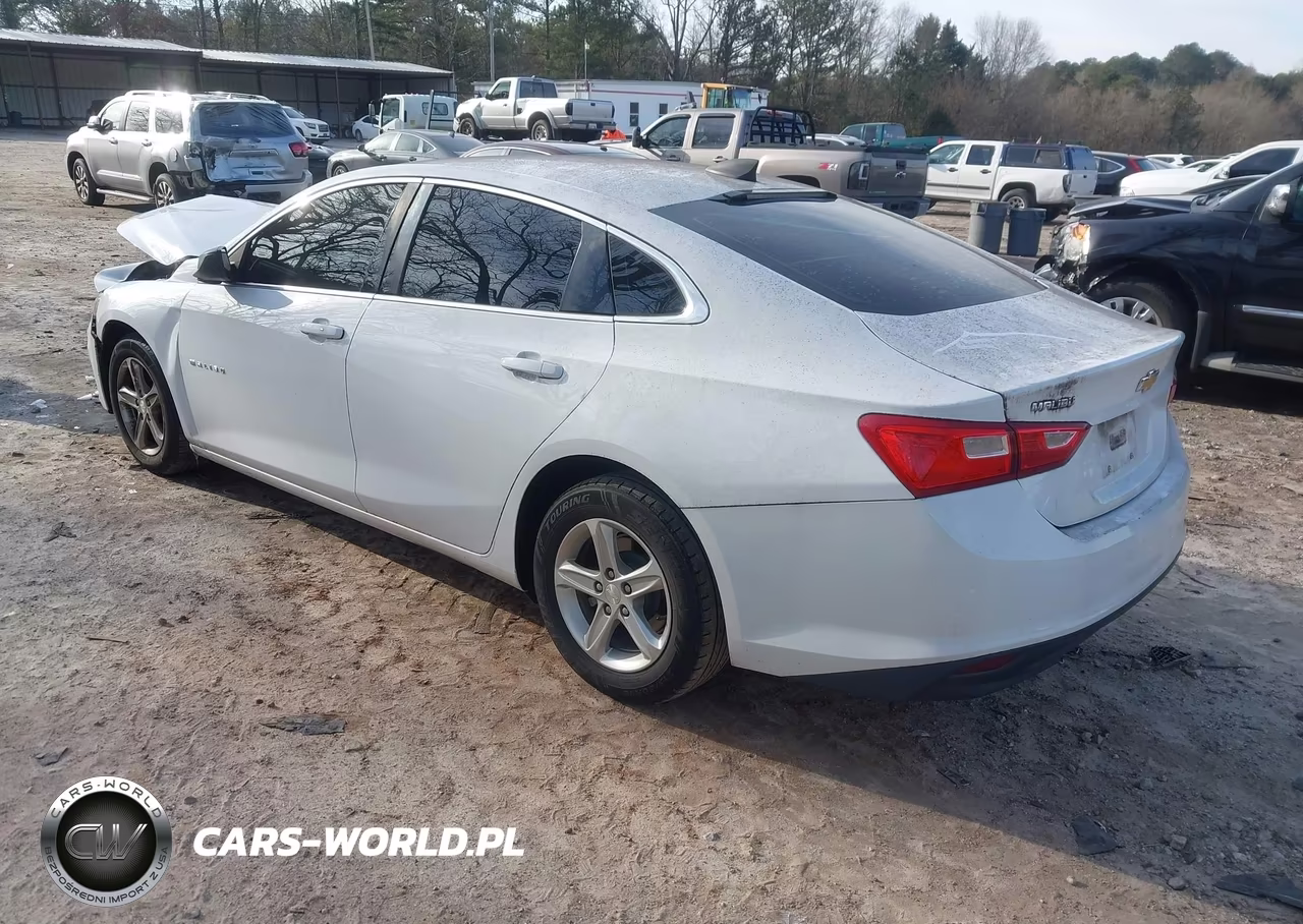 2019 Chevrolet Malibu 1Ls VIN:1G1ZB5ST2KF157169 - 3