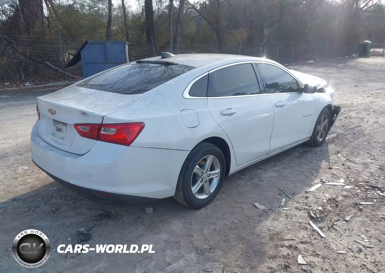 2019 Chevrolet Malibu 1Ls VIN:1G1ZB5ST2KF157169 - 4
