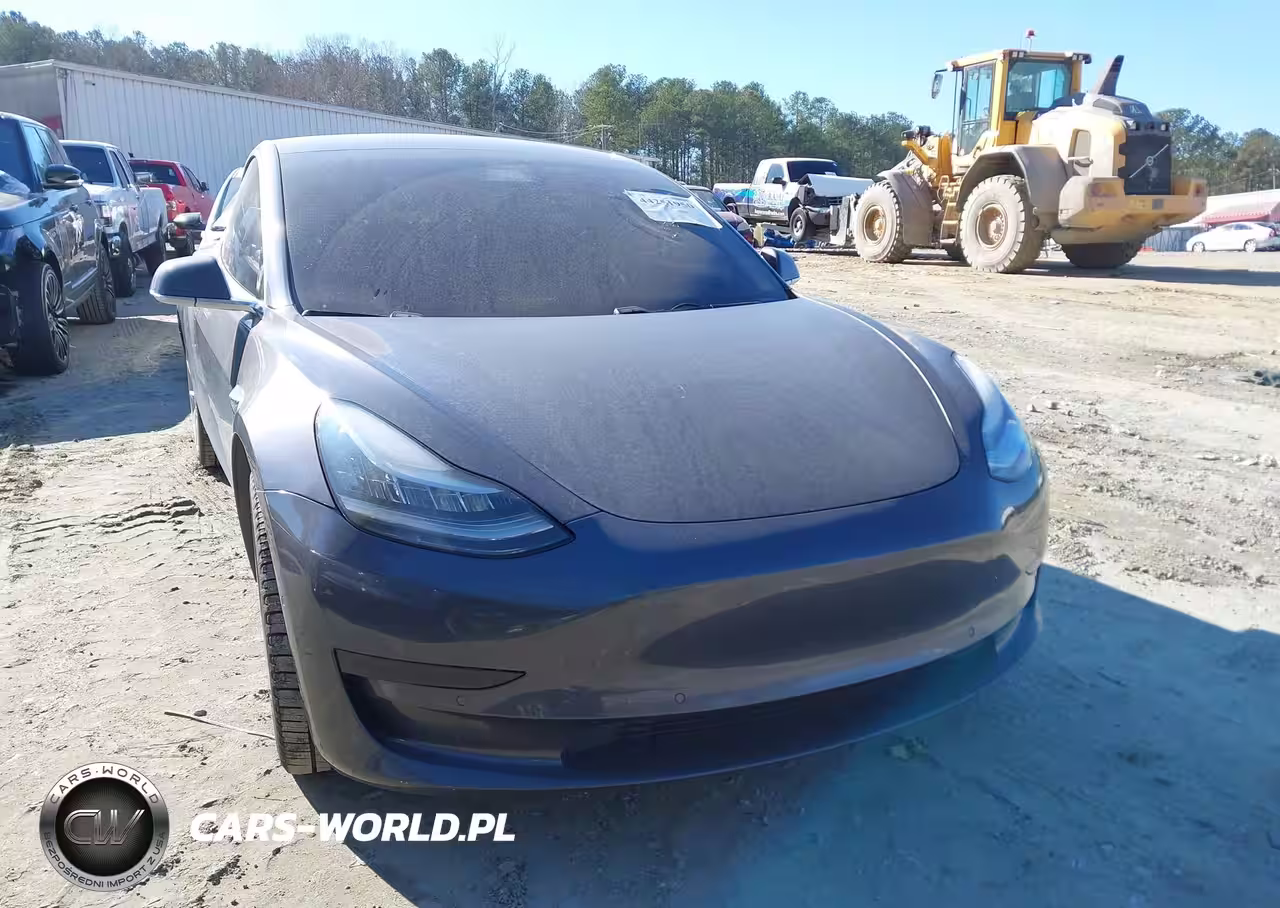 2019 Tesla Model 3 Long Range-Performance