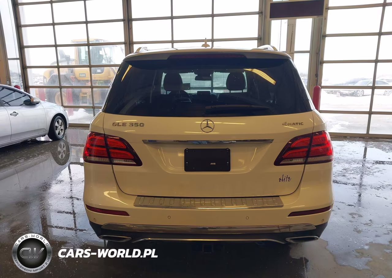 2017 Mercedes-Benz Gle 350 4Matic VIN:4JGDA5HB7HA991653 - 16