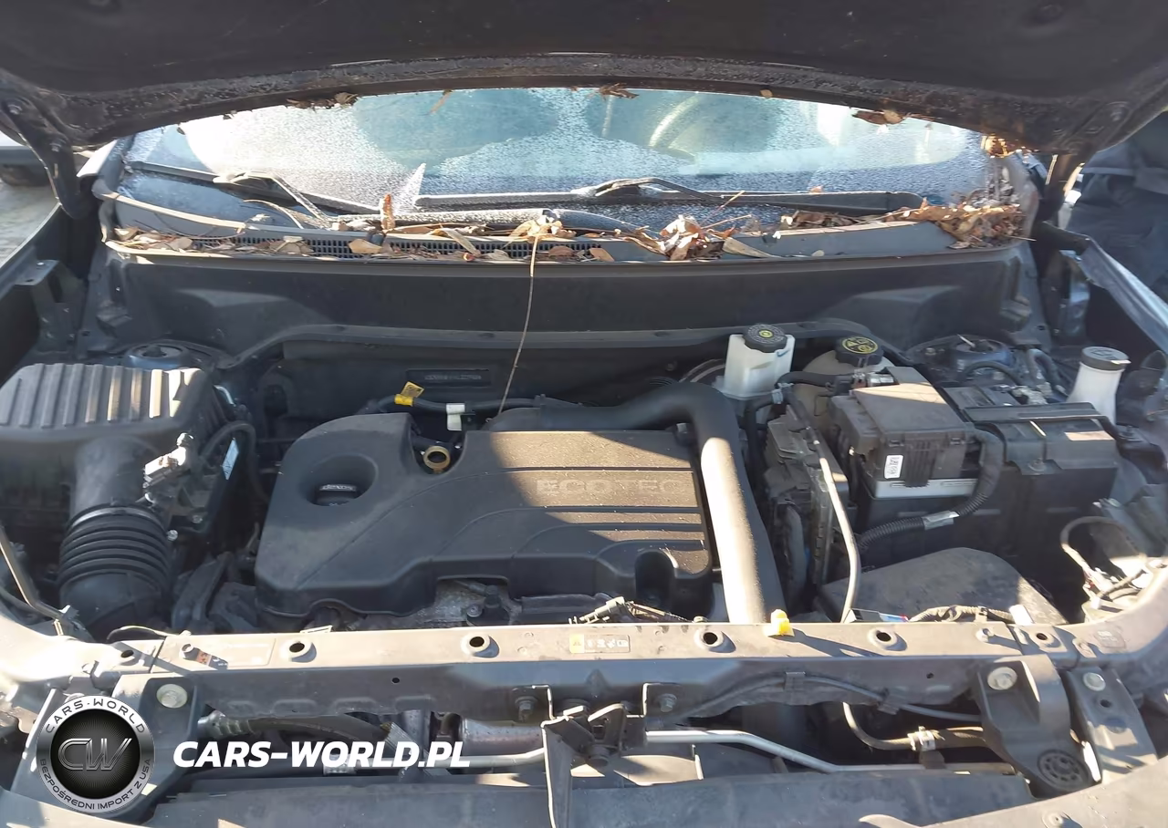 2019 Chevrolet Equinox Ls VIN:3GNAXHEV5KL223988 - 10