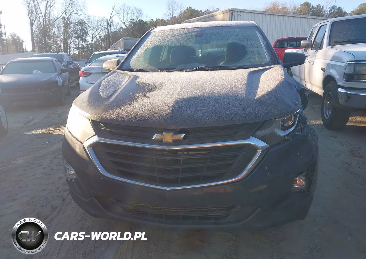 2019 Chevrolet Equinox Ls VIN:3GNAXHEV5KL223988 - 12