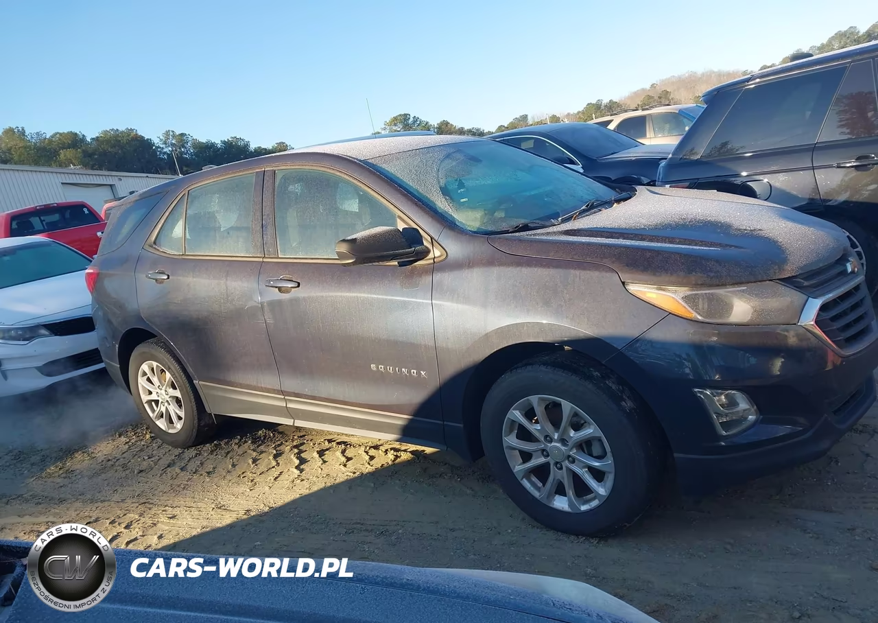 2019 Chevrolet Equinox Ls VIN:3GNAXHEV5KL223988 - 13