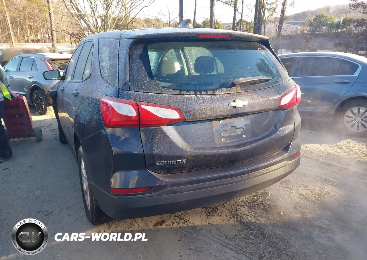 2019 Chevrolet Equinox Ls VIN:3GNAXHEV5KL223988 - 3