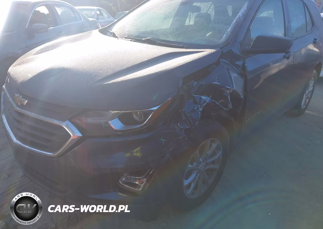 2019 Chevrolet Equinox Ls VIN:3GNAXHEV5KL223988 - 6
