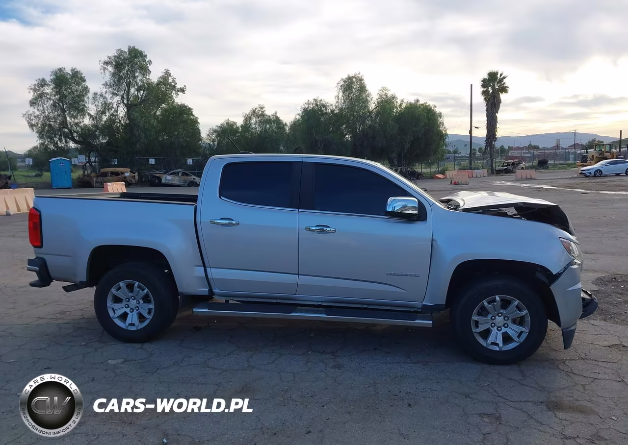 2017 Chevrolet Colorado Lt VIN:1GCGSCEN2H1331408 - 13
