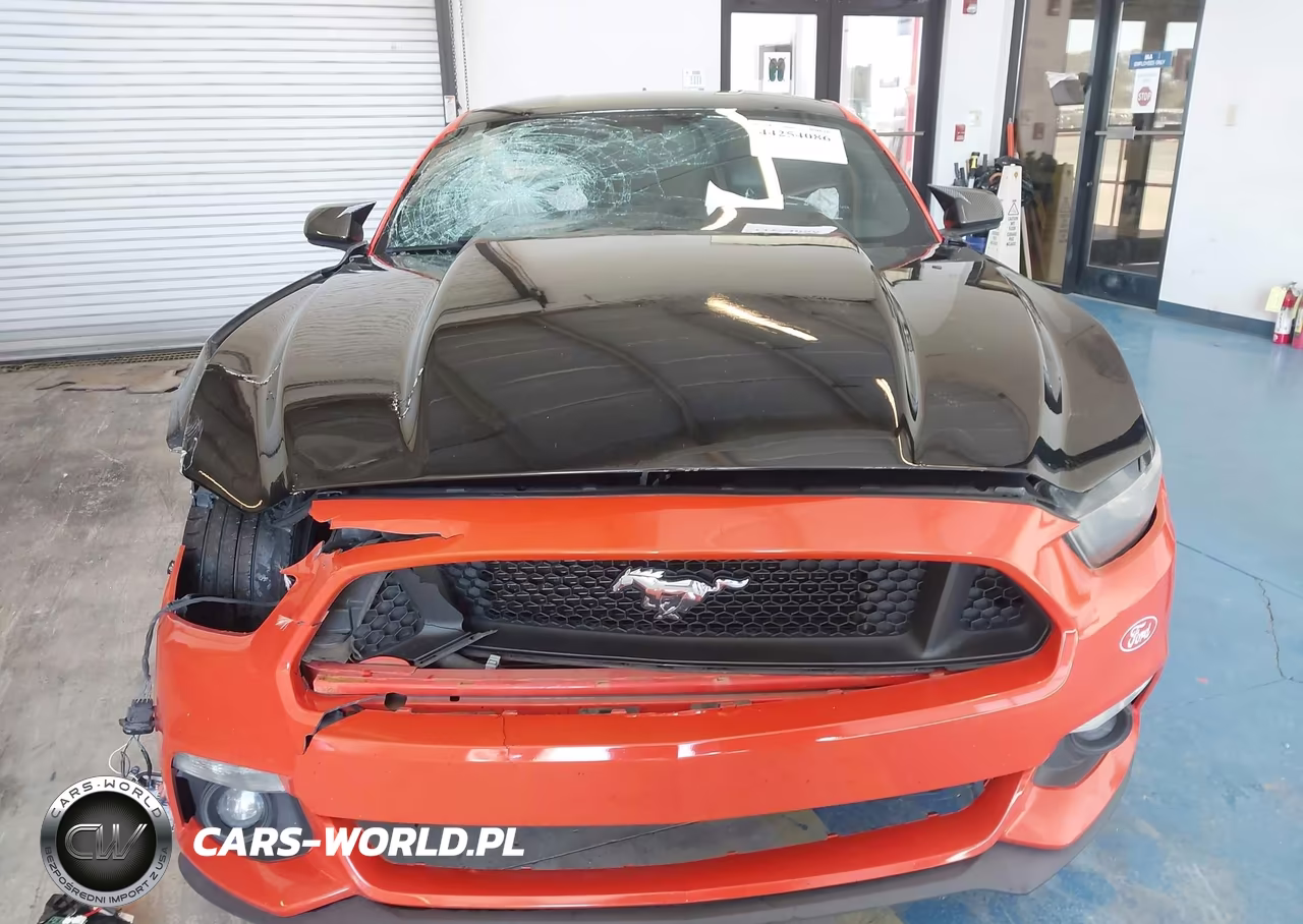 2015 Ford Mustang Gt Premium VIN:1FA6P8CF1F5332020 - 12