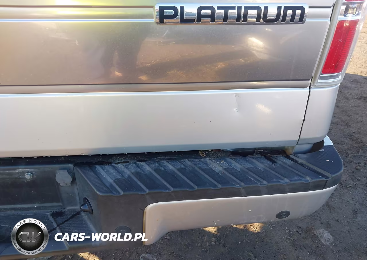 2011 Ford F-150 Platinum VIN:1FTFW1ET0BFC26914 - 22