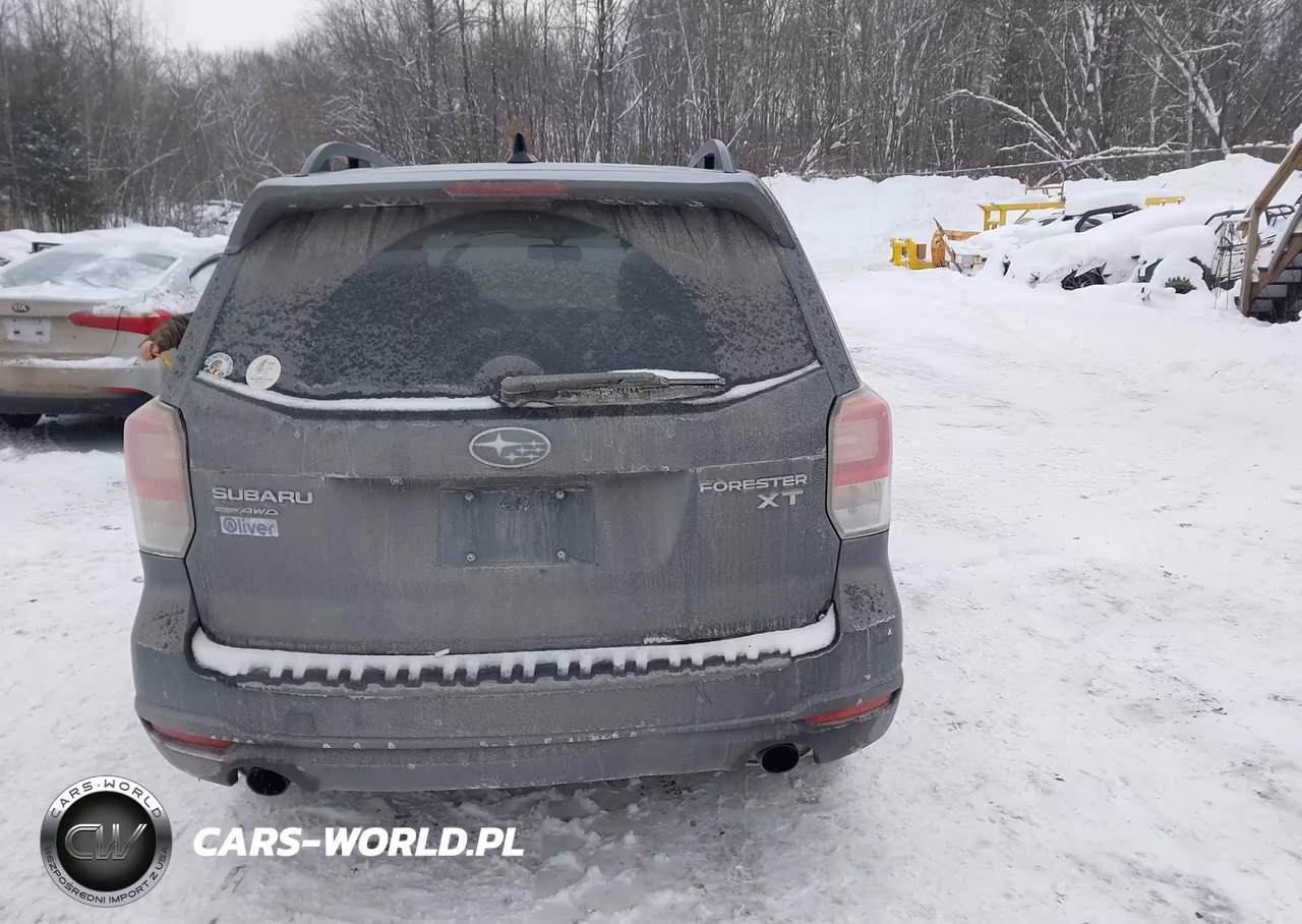 2017 Subaru Forester 2.0Xt Touring VIN:JF2SJGTCXHH444974 - 16