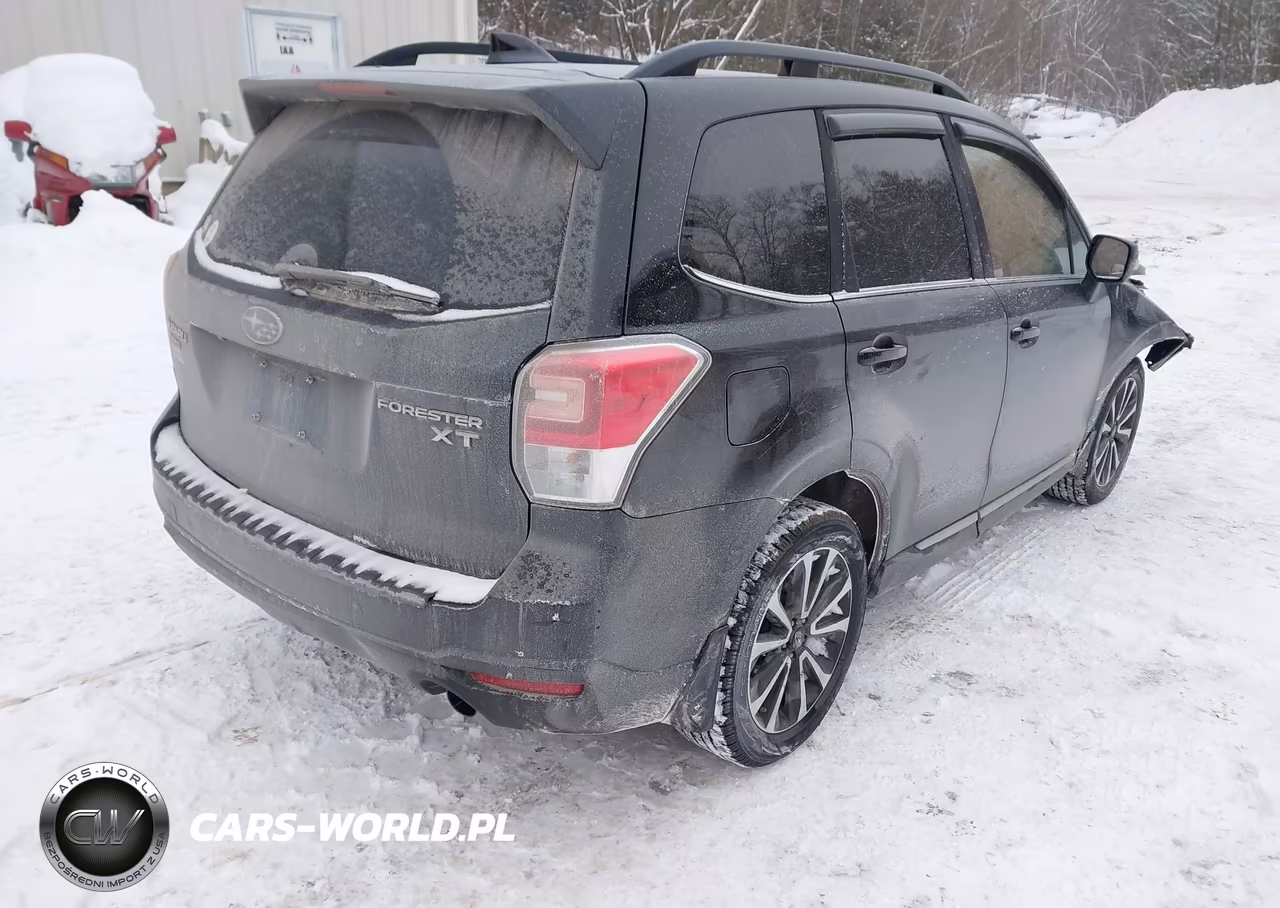 2017 Subaru Forester 2.0Xt Touring VIN:JF2SJGTCXHH444974 - 4