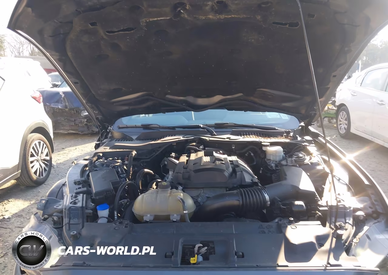 2020 Ford Mustang Ecoboost Fastback VIN:1FA6P8THXL5162382 - 10
