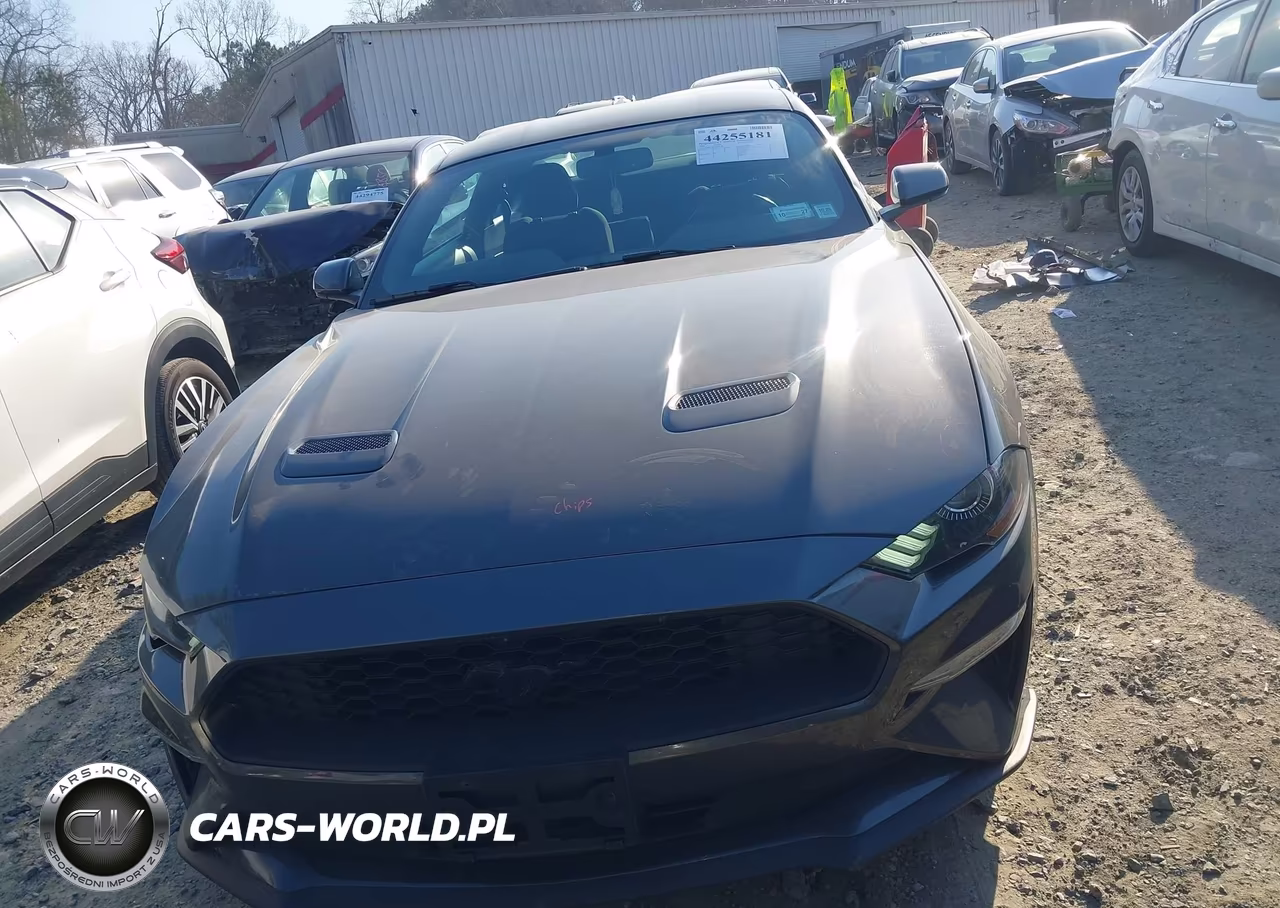 2020 Ford Mustang Ecoboost Fastback VIN:1FA6P8THXL5162382 - 12