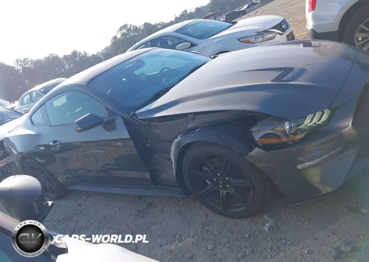 2020 Ford Mustang Ecoboost Fastback VIN:1FA6P8THXL5162382 - 13