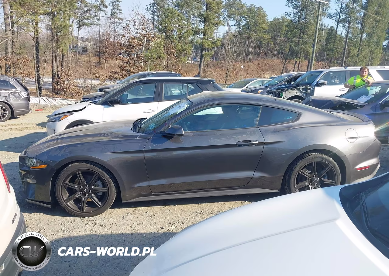 2020 Ford Mustang Ecoboost Fastback VIN:1FA6P8THXL5162382 - 14