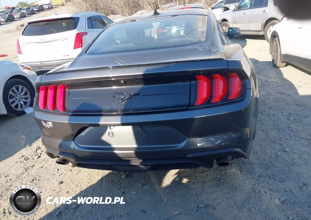2020 Ford Mustang Ecoboost Fastback VIN:1FA6P8THXL5162382 - 16