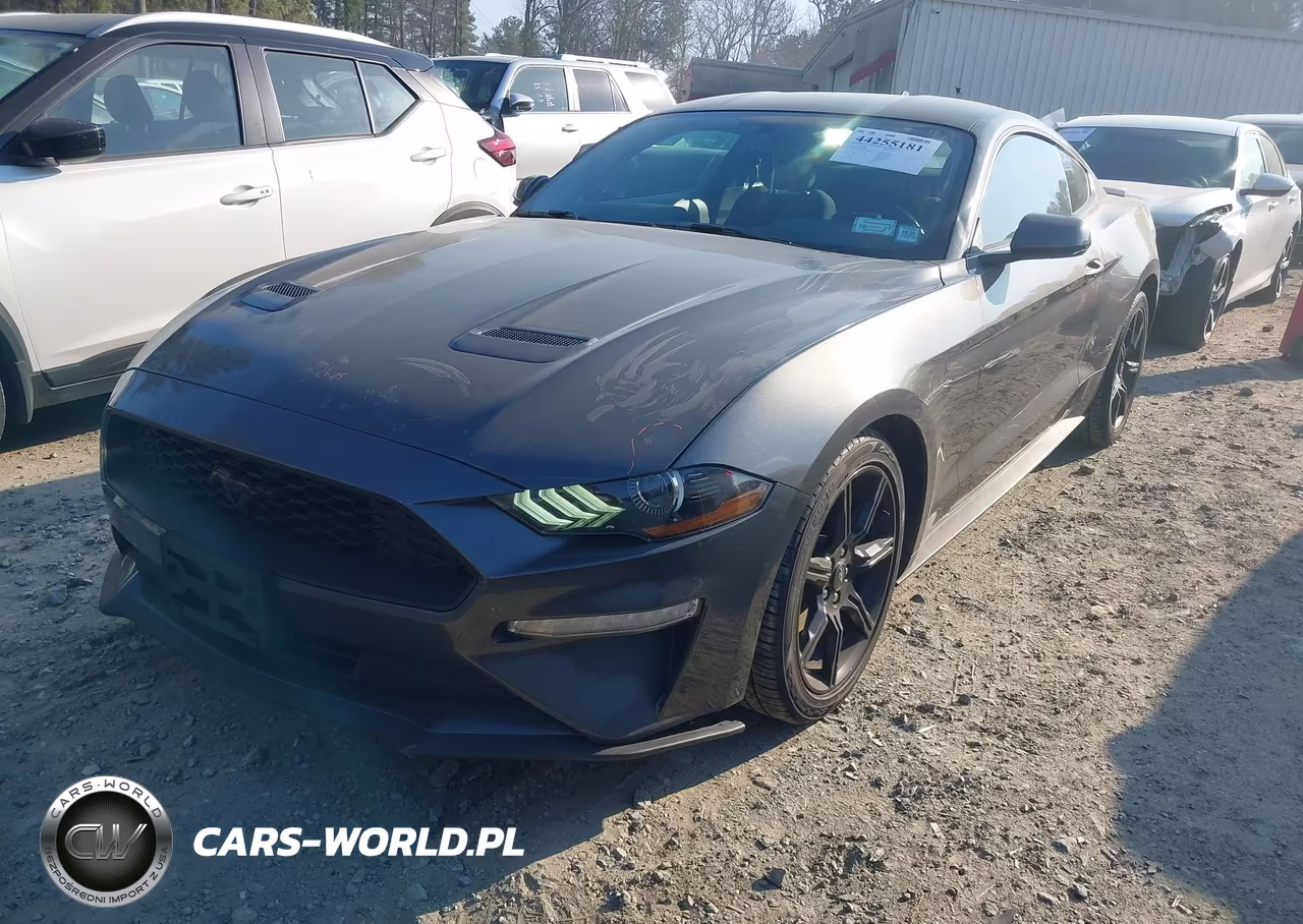 2020 Ford Mustang Ecoboost Fastback VIN:1FA6P8THXL5162382 - 2