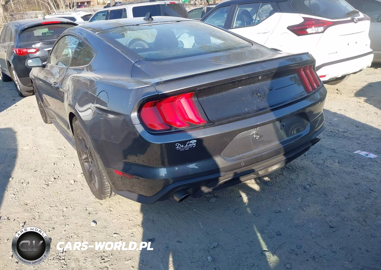 2020 Ford Mustang Ecoboost Fastback VIN:1FA6P8THXL5162382 - 3