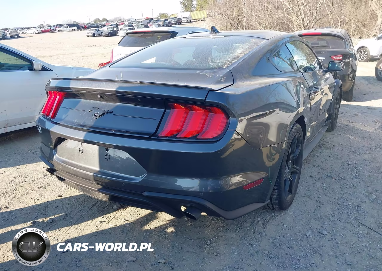 2020 Ford Mustang Ecoboost Fastback VIN:1FA6P8THXL5162382 - 4