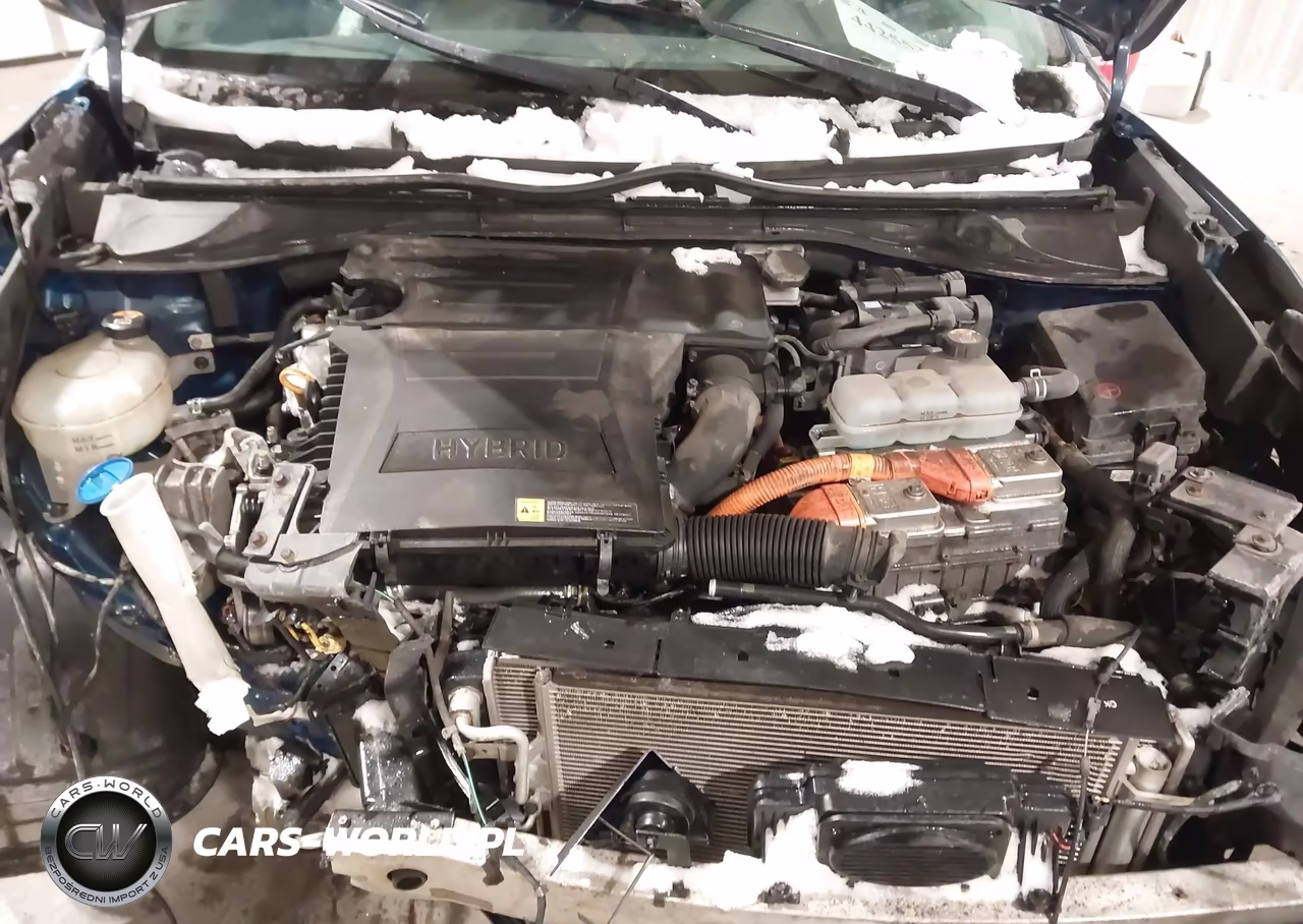 2019 Kia Niro Lx VIN:KNDCB3LC4K5250202 - 10