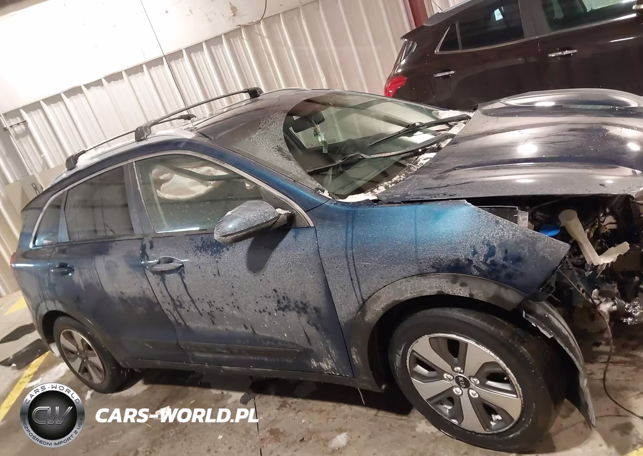 2019 Kia Niro Lx VIN:KNDCB3LC4K5250202 - 13