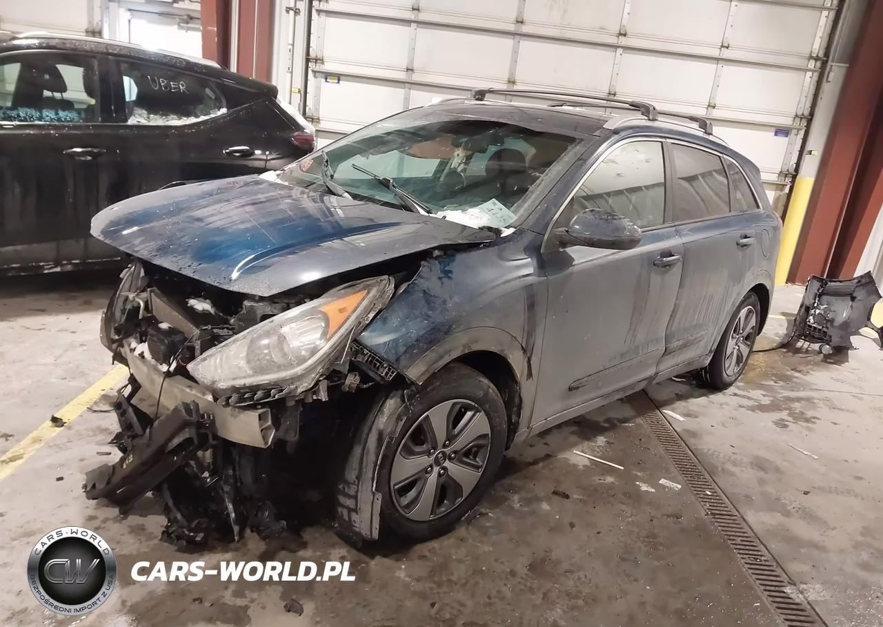 2019 Kia Niro Lx VIN:KNDCB3LC4K5250202 - 2