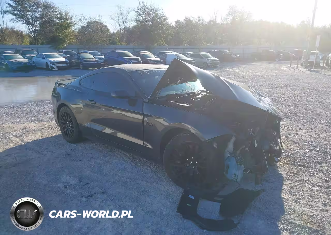 2019 Ford Mustang Gt Premium