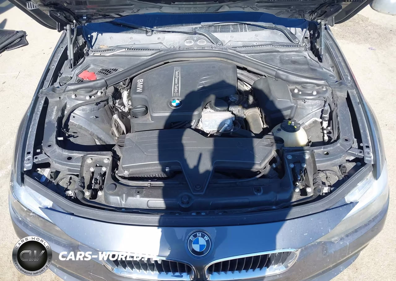 2016 BMW 320I VIN:WBA8E1G51GNT37220 - 10