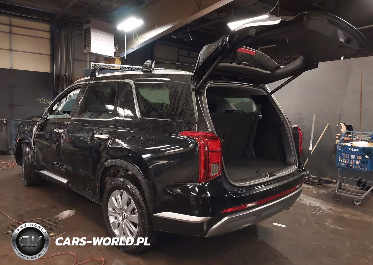 2025 Hyundai Palisade Sel VIN:KM8R2DGE7SU884326 - 3