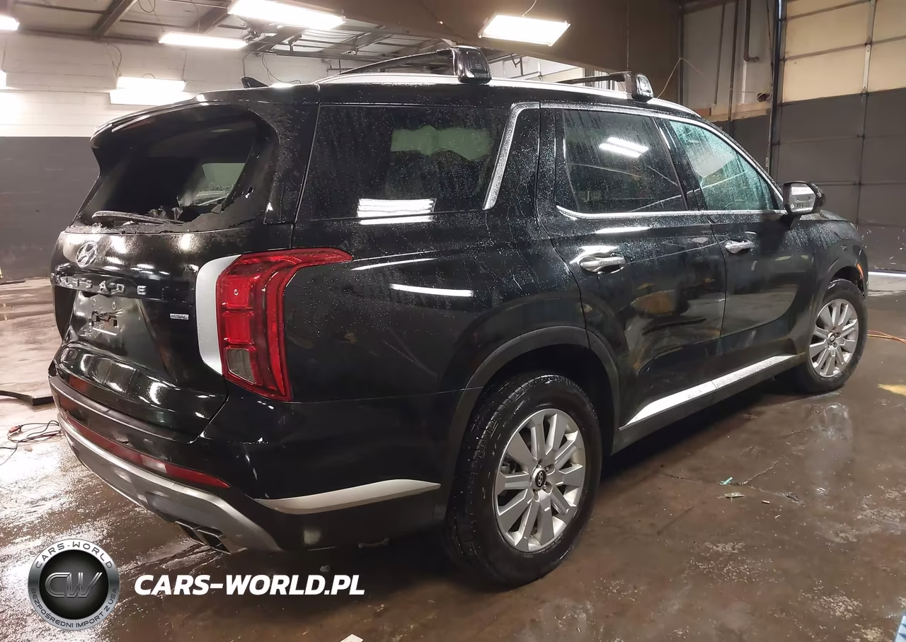 2025 Hyundai Palisade Sel VIN:KM8R2DGE7SU884326 - 4