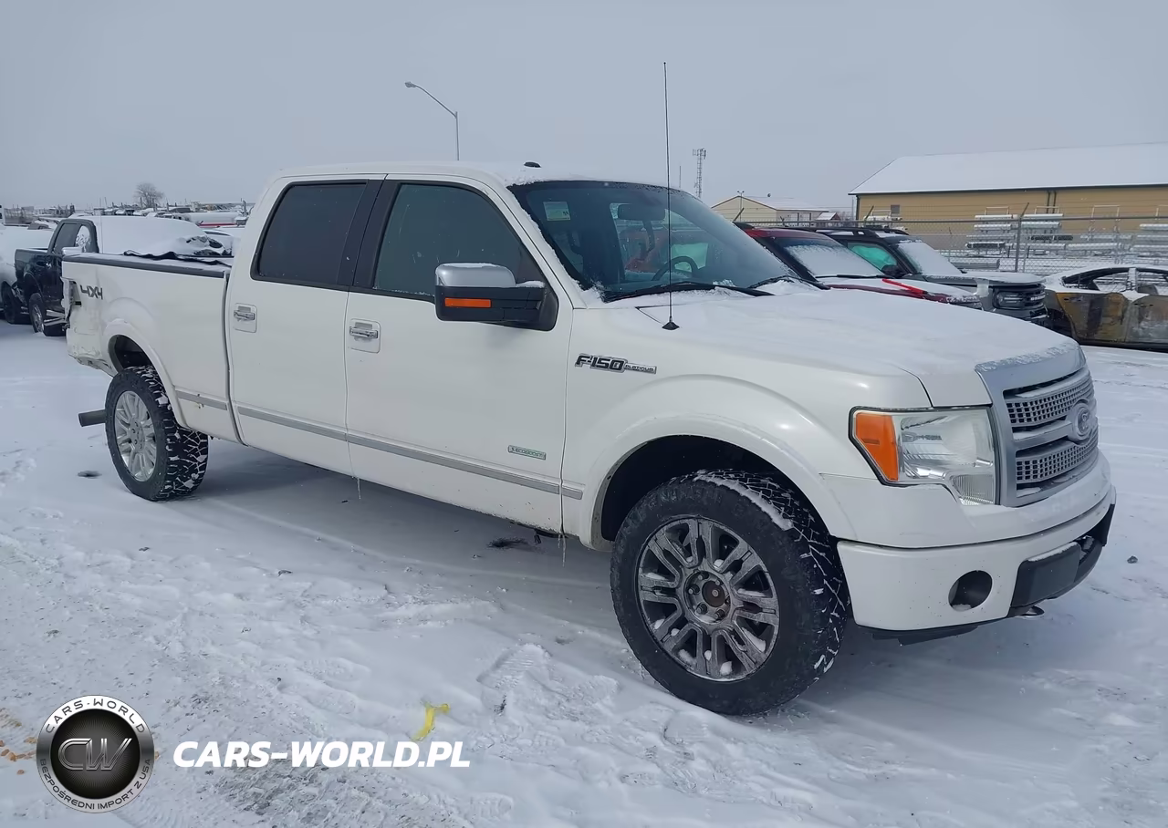 2011 Ford F-150 Platinum – zdjęcie 1 z 16