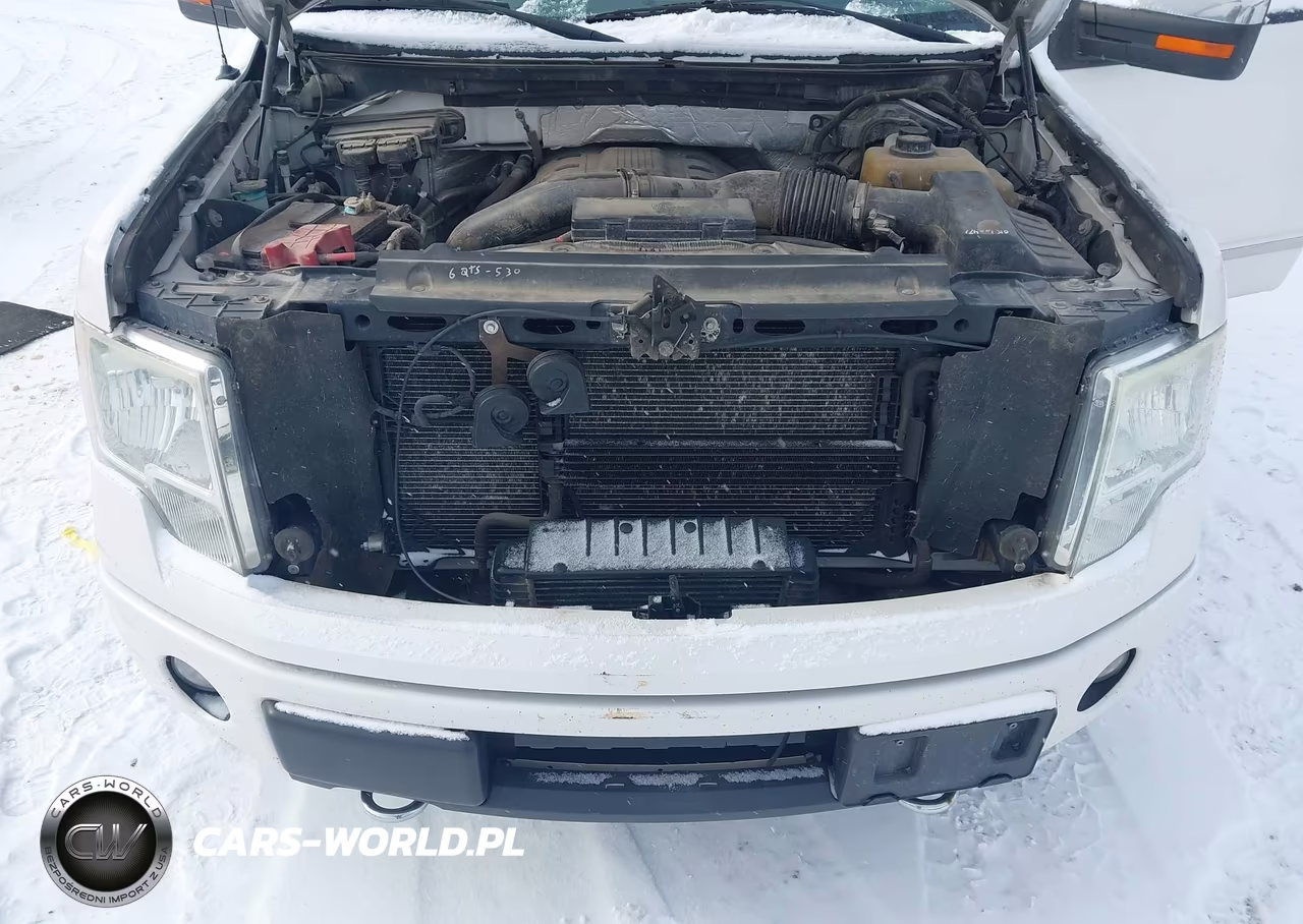 2011 Ford F-150 Platinum VIN:1FTFW1ET5BFC92567 - 10
