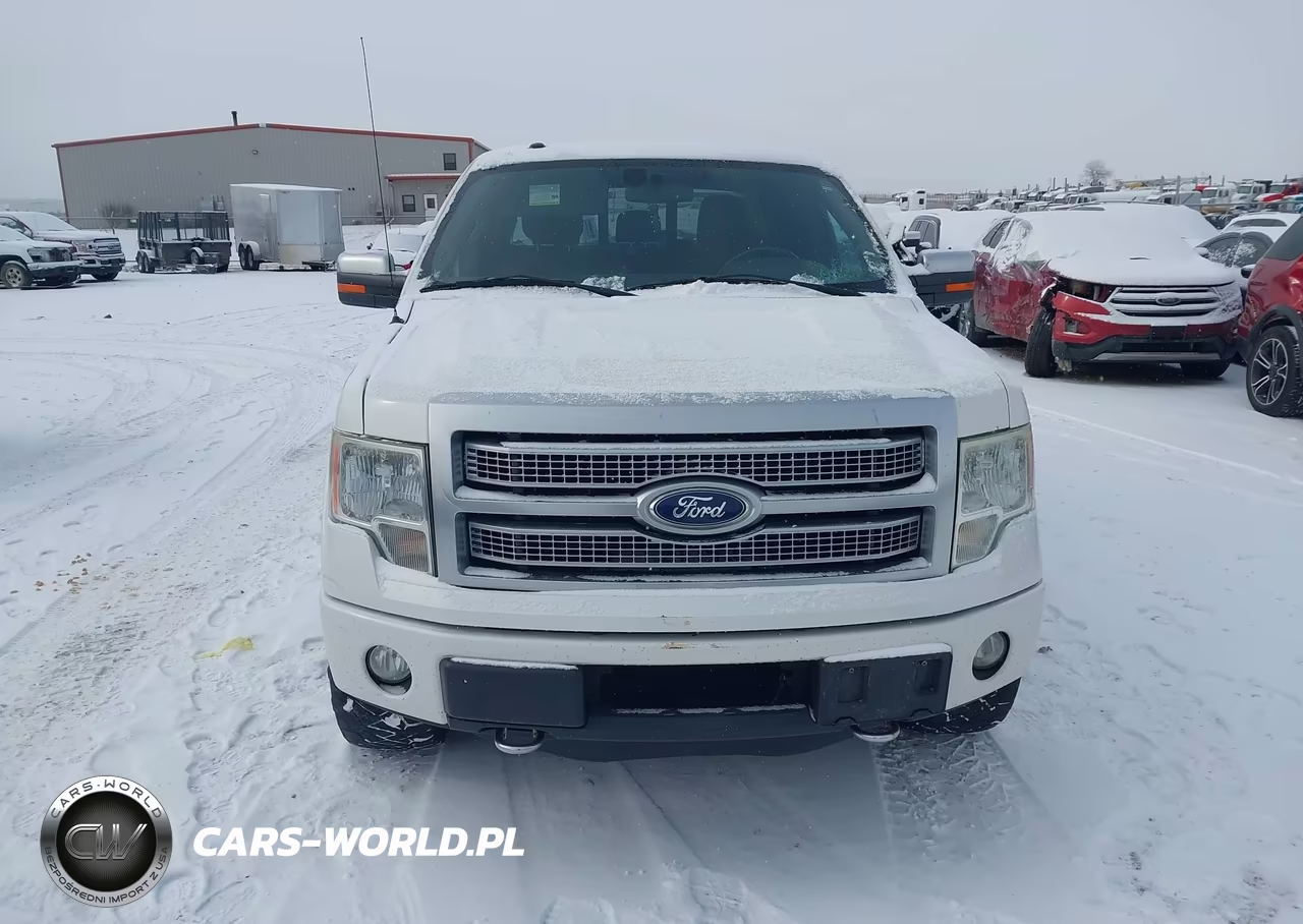 2011 Ford F-150 Platinum VIN:1FTFW1ET5BFC92567 - 12