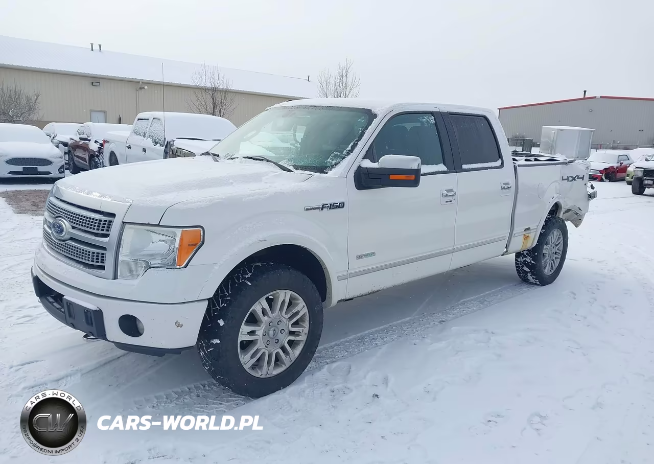 2011 Ford F-150 Platinum VIN:1FTFW1ET5BFC92567 - 2