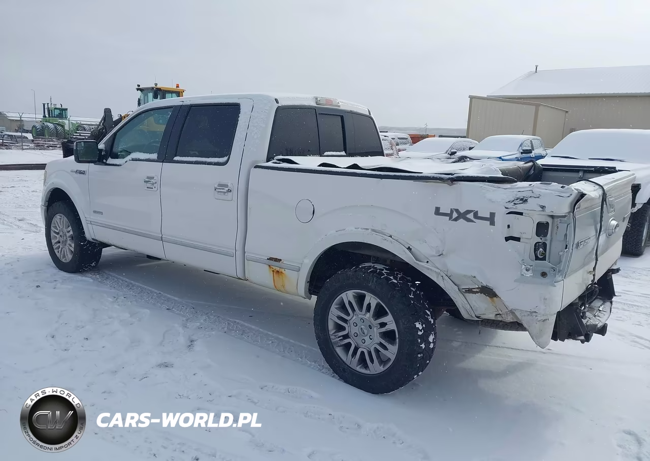2011 Ford F-150 Platinum VIN:1FTFW1ET5BFC92567 - 3