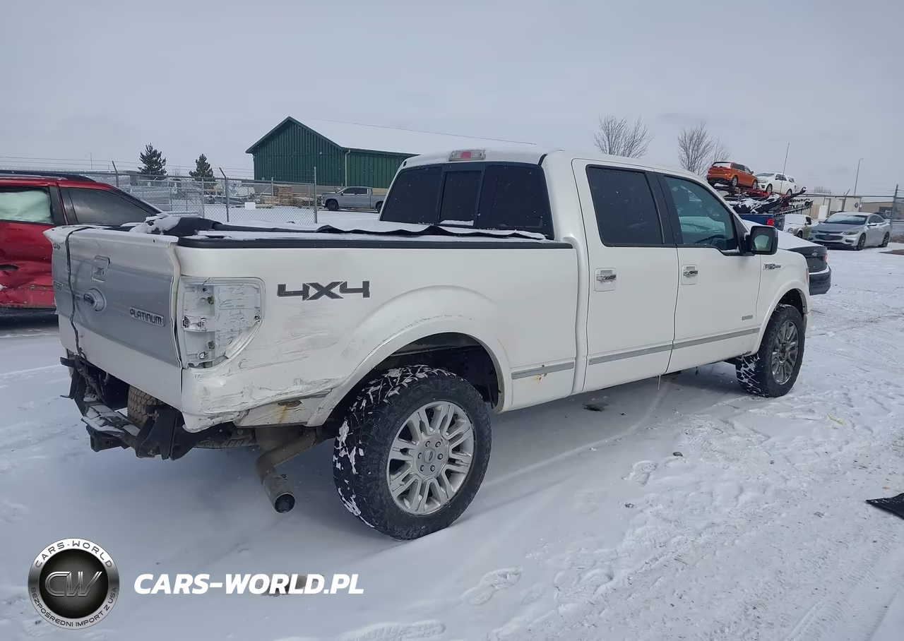 2011 Ford F-150 Platinum VIN:1FTFW1ET5BFC92567 - 4