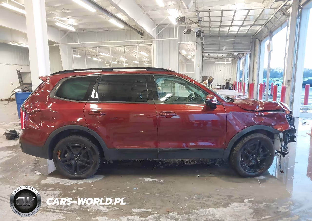 2024 Kia Telluride Sx Prestige X-Line VIN:5XYP5DGC4RG448496 - 12