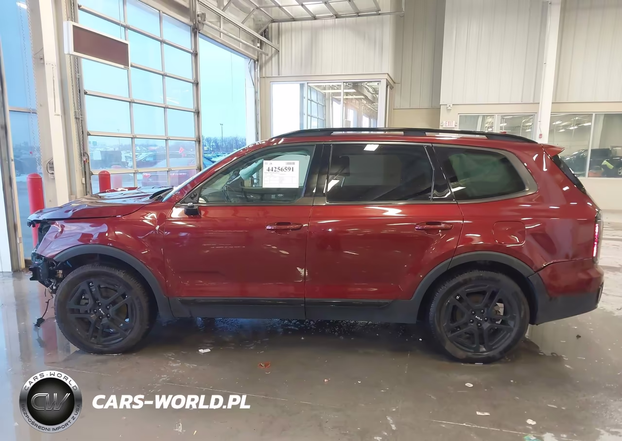 2024 Kia Telluride Sx Prestige X-Line VIN:5XYP5DGC4RG448496 - 13