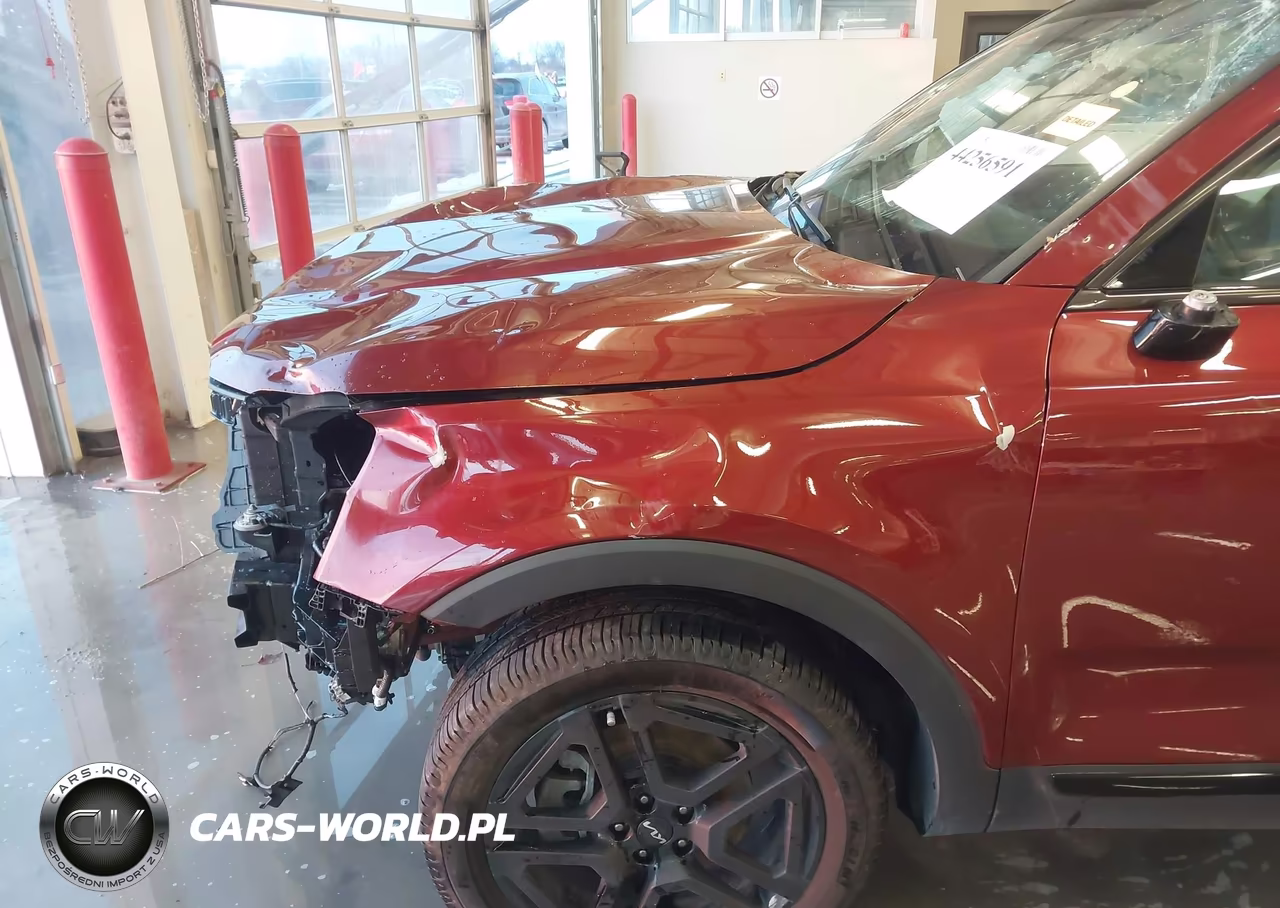 2024 Kia Telluride Sx Prestige X-Line VIN:5XYP5DGC4RG448496 - 18