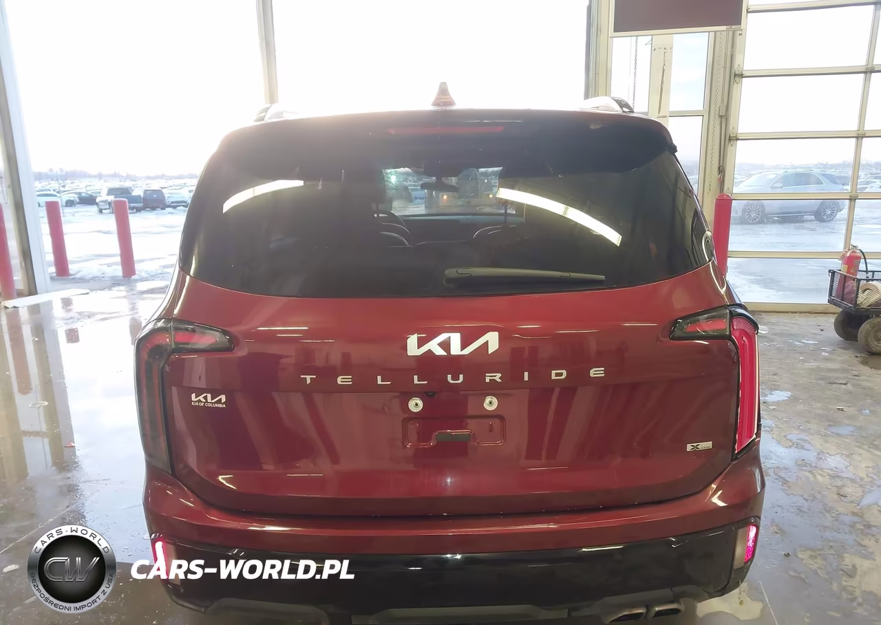2024 Kia Telluride Sx Prestige X-Line VIN:5XYP5DGC4RG448496 - 20