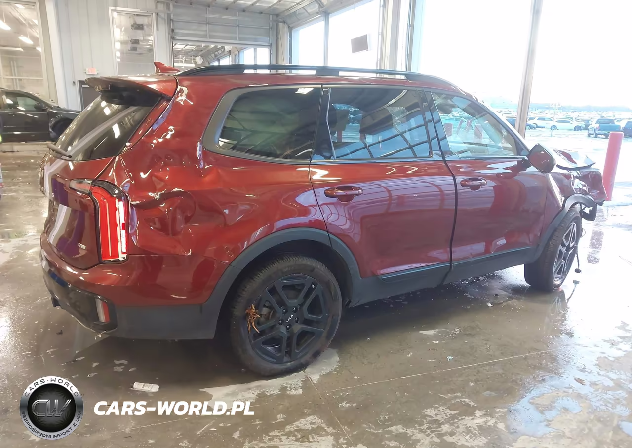 2024 Kia Telluride Sx Prestige X-Line VIN:5XYP5DGC4RG448496 - 4