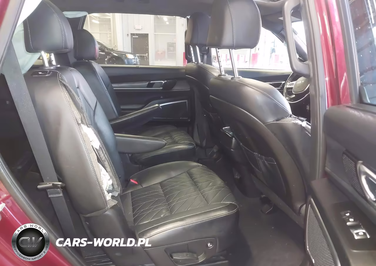 2024 Kia Telluride Sx Prestige X-Line VIN:5XYP5DGC4RG448496 - 8