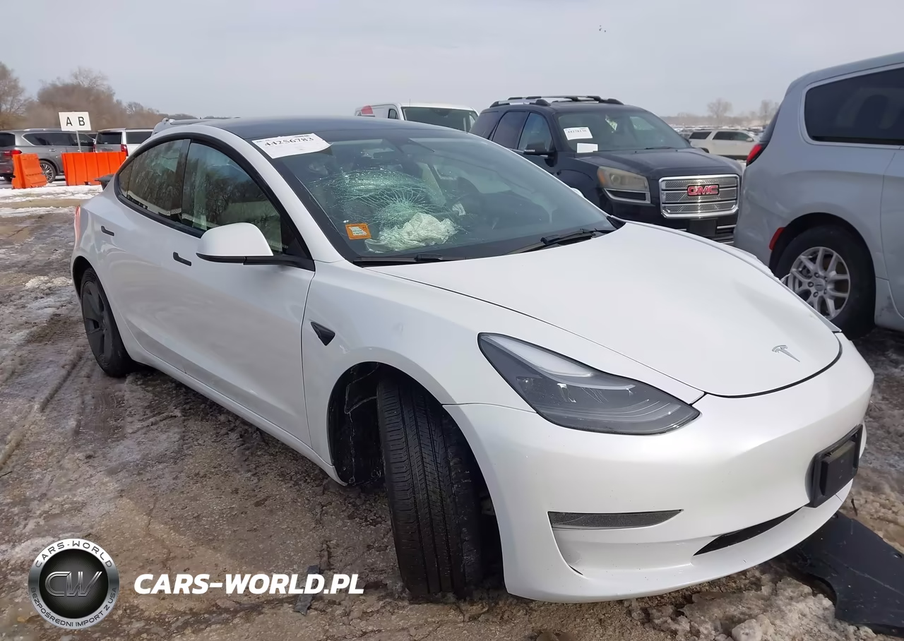 2023 Tesla Model 3 Rear-Wheel Drive