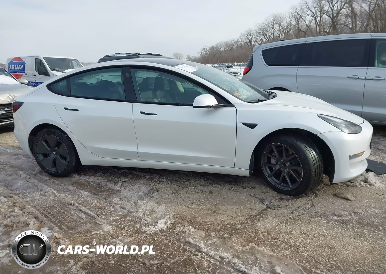 2023 Tesla Model 3 Rear-Wheel Drive VIN:5YJ3E1EA5PF662321 - 12