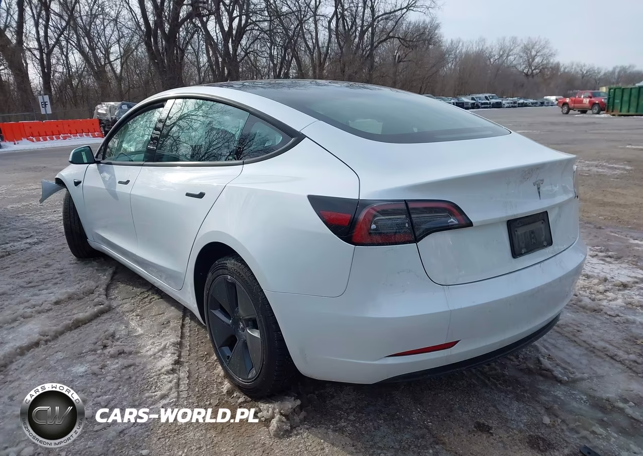 2023 Tesla Model 3 Rear-Wheel Drive VIN:5YJ3E1EA5PF662321 - 3