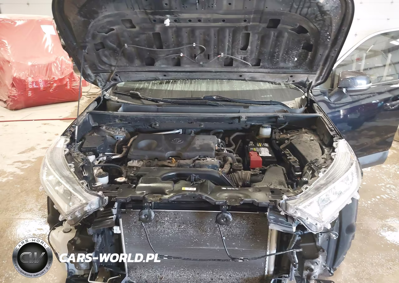 2019 Toyota Rav4 Xle VIN:JTMW1RFVXKJ014600 - 10