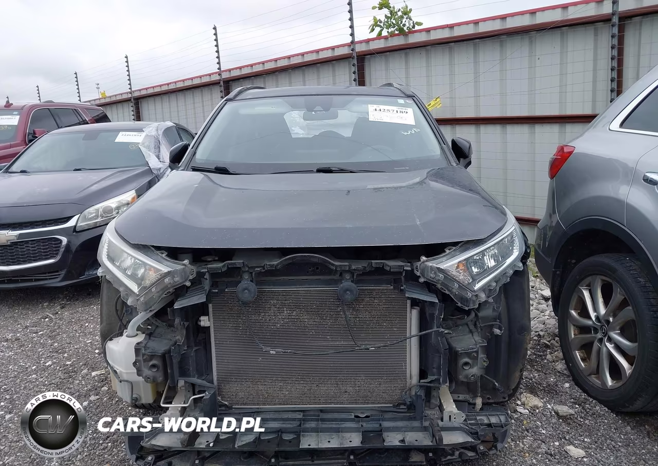 2019 Toyota Rav4 Xle VIN:JTMW1RFVXKJ014600 - 13