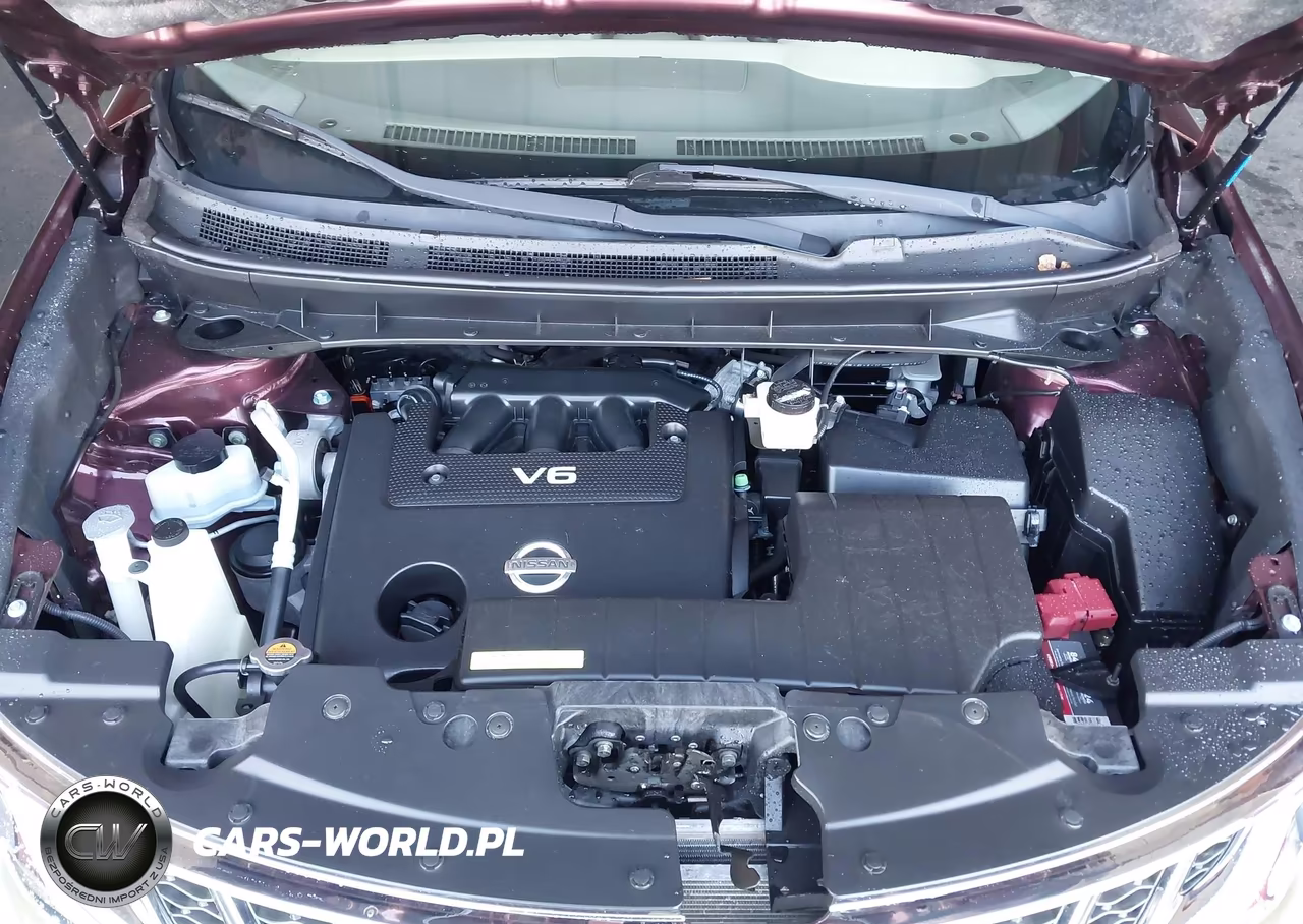 2013 Nissan Murano Sl VIN:JN8AZ1MW8DW302951 - 10