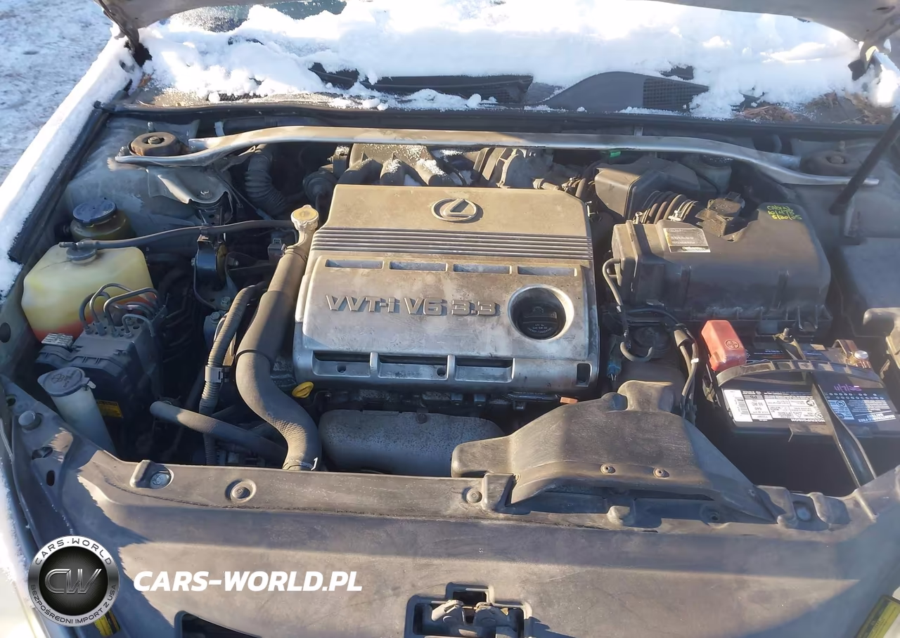 2004 Lexus Es 330 VIN:JTHBA30G945032828 - 10