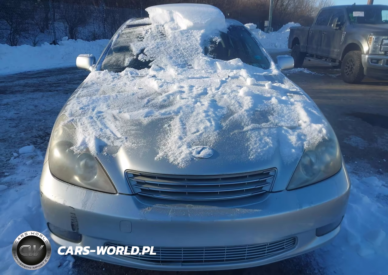 2004 Lexus Es 330 VIN:JTHBA30G945032828 - 6